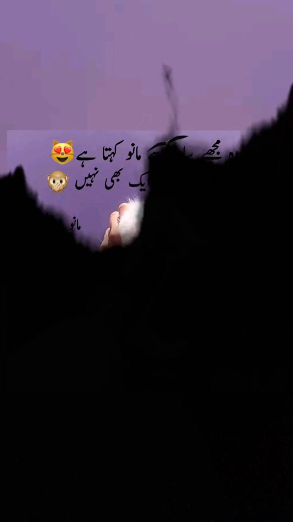 @mr. Hafeez_prince.official