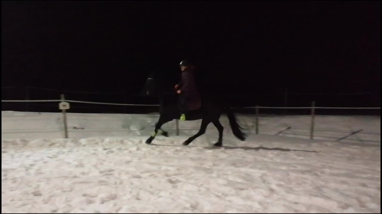 @Horses♡