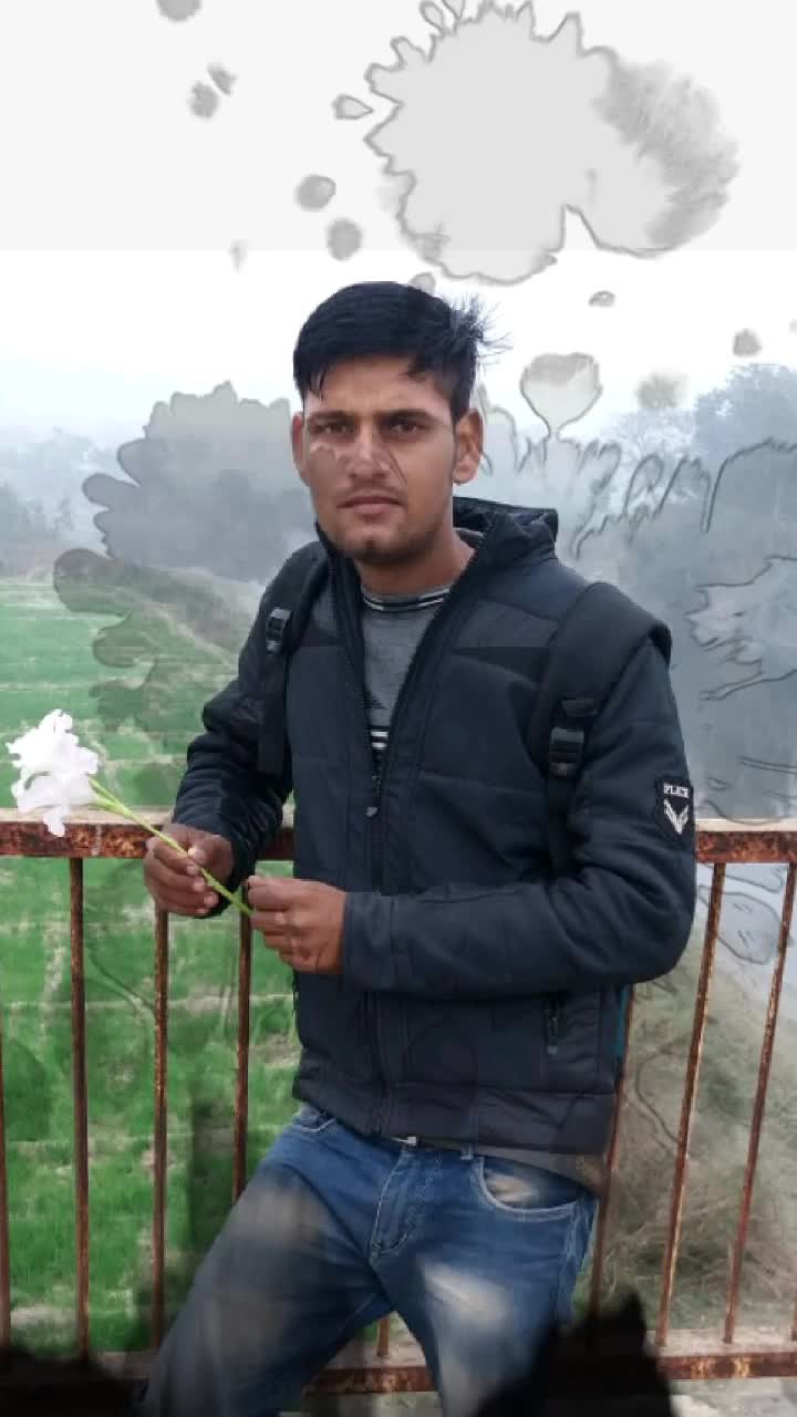 @anshika