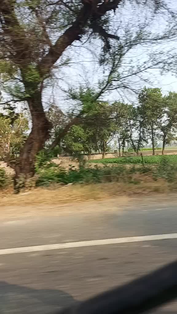 @Ohi Rai Saab