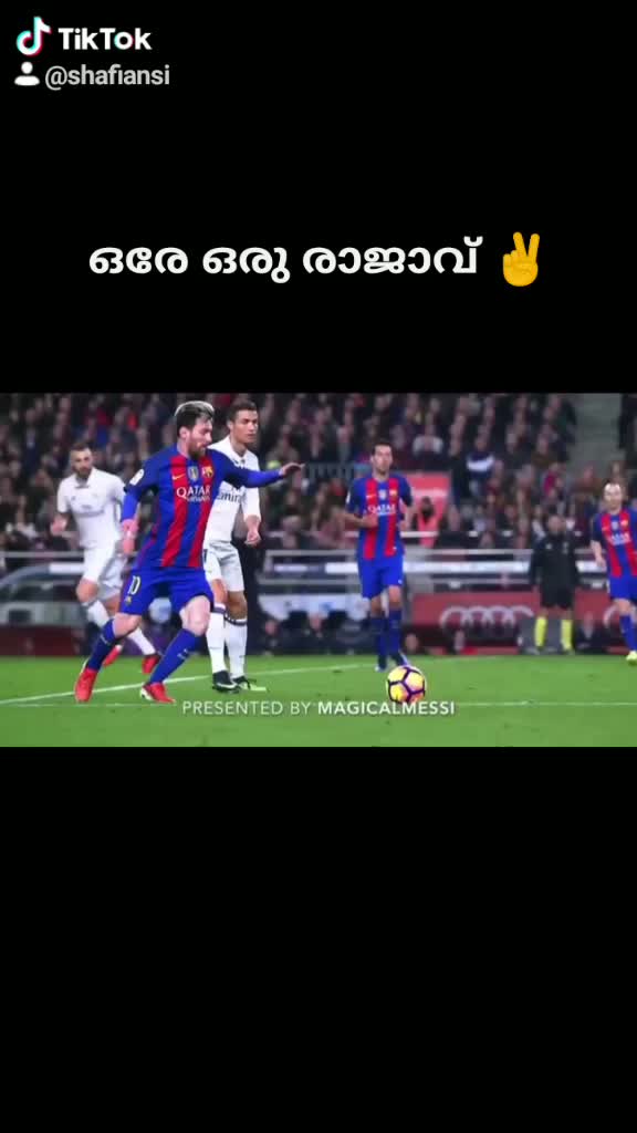 @mohammed shafi