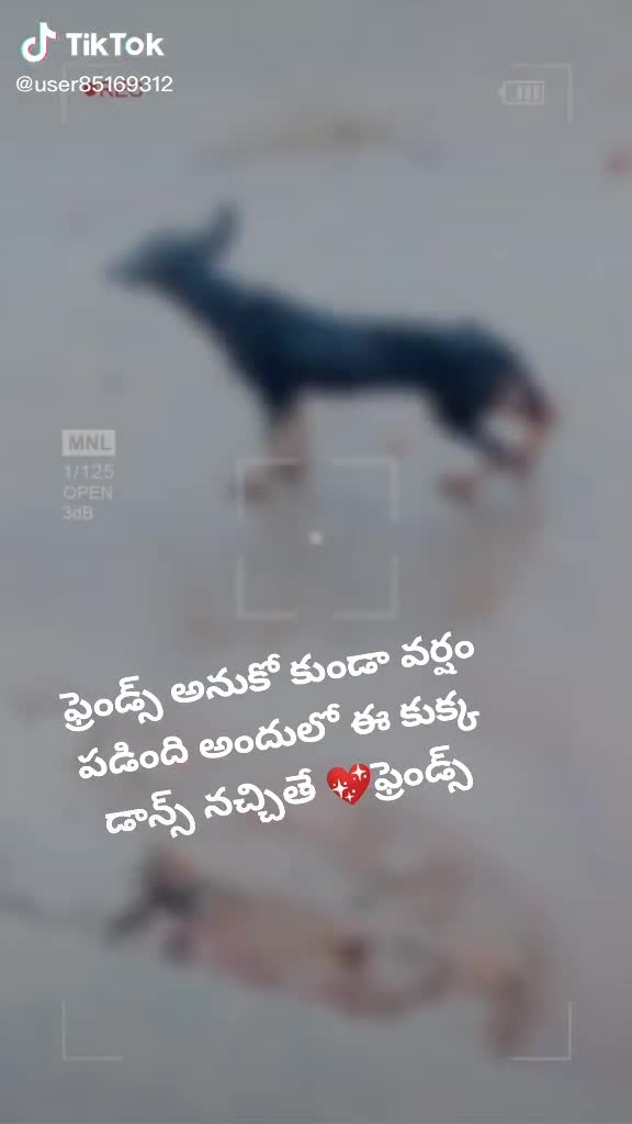 @potti Santosh