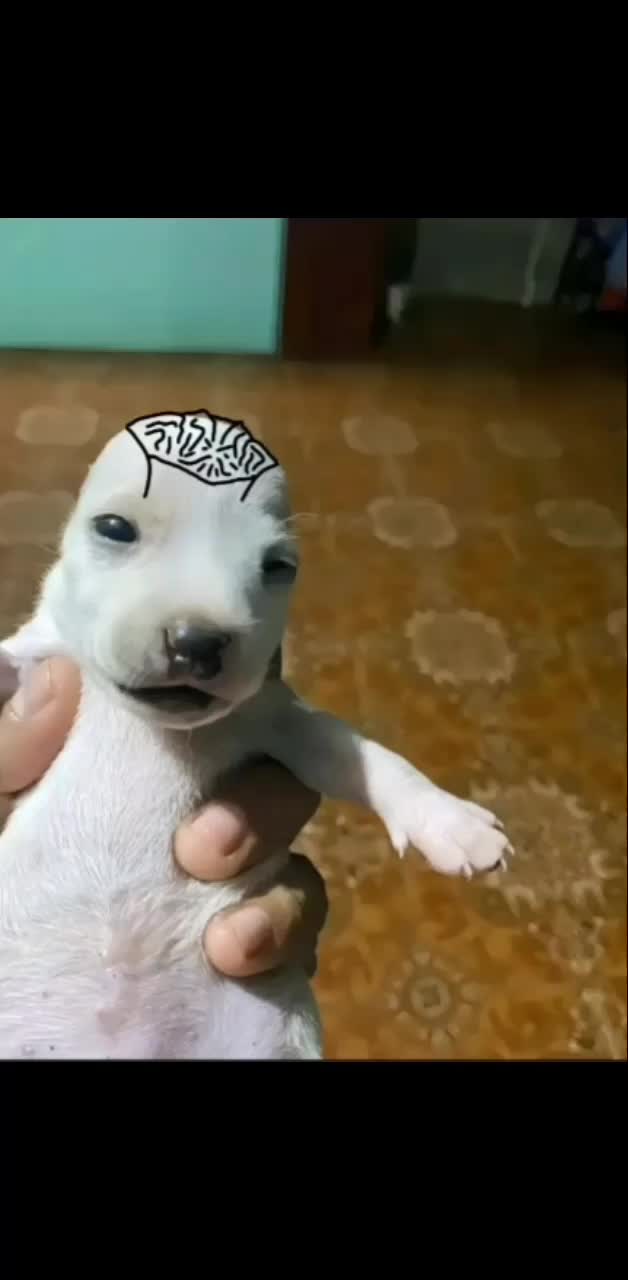 @𝑇𝐸𝑅𝑅𝐴𝐷