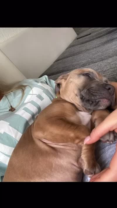 @lifeofpacoo