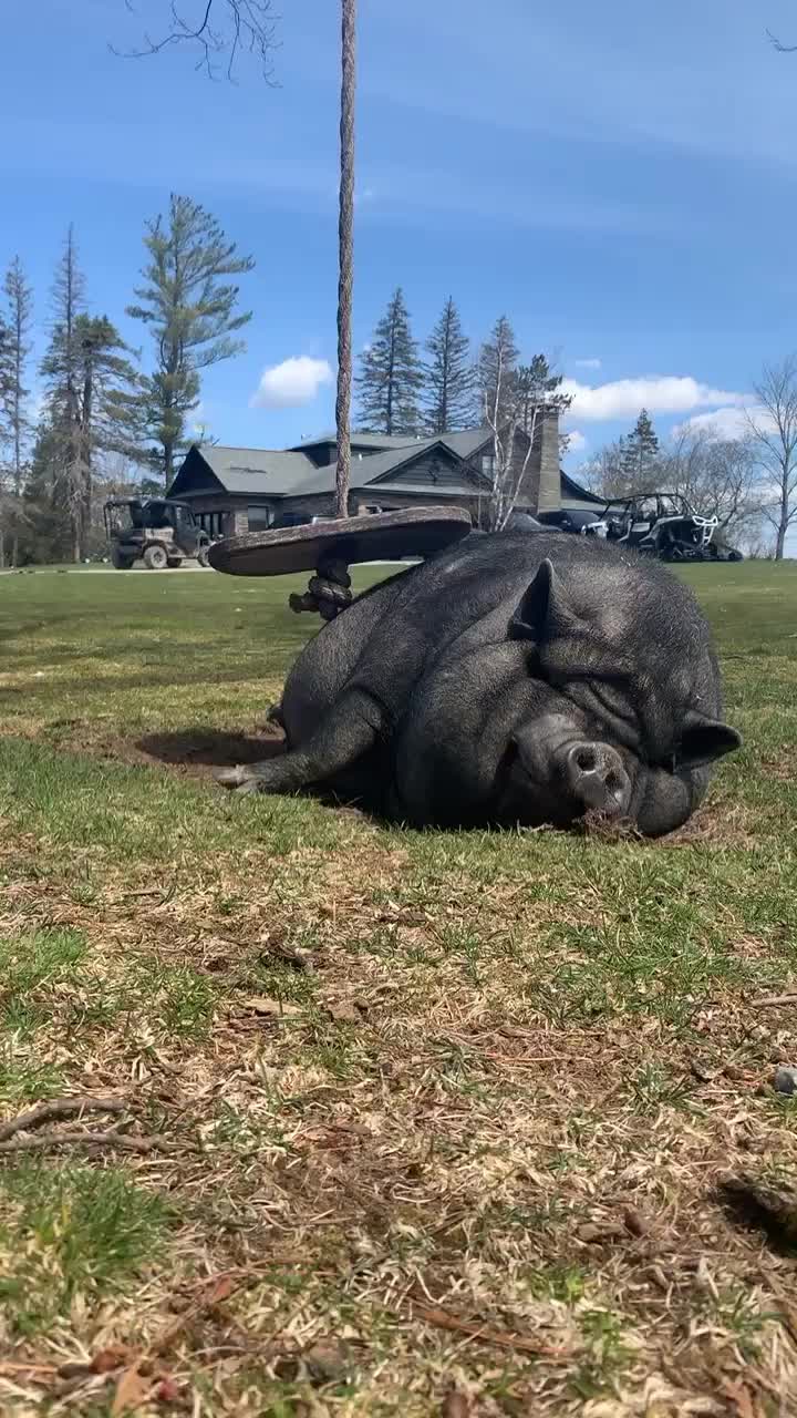 @Tap Rack Ranch