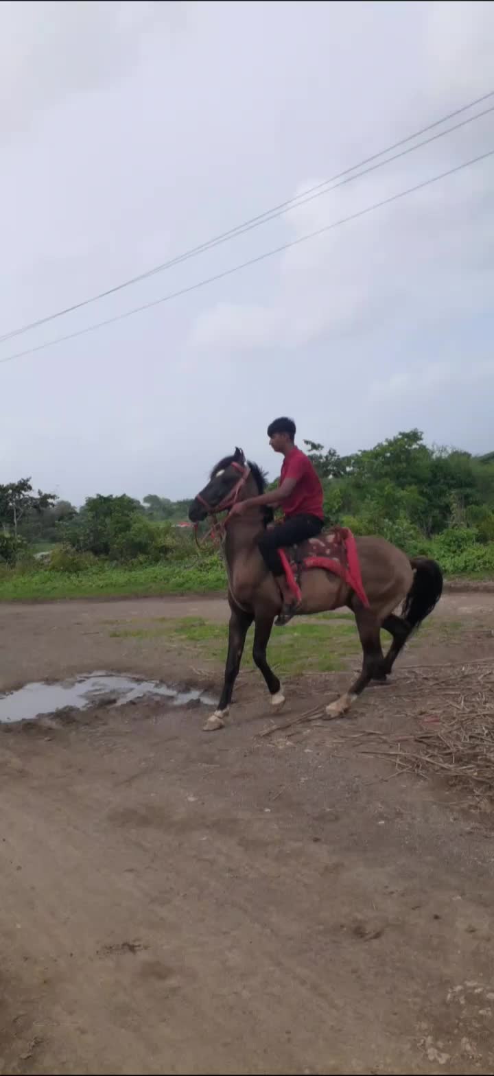 @mahavir shekhva 2
