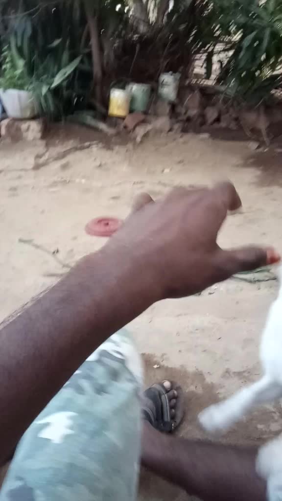 @Manoj Kuttis