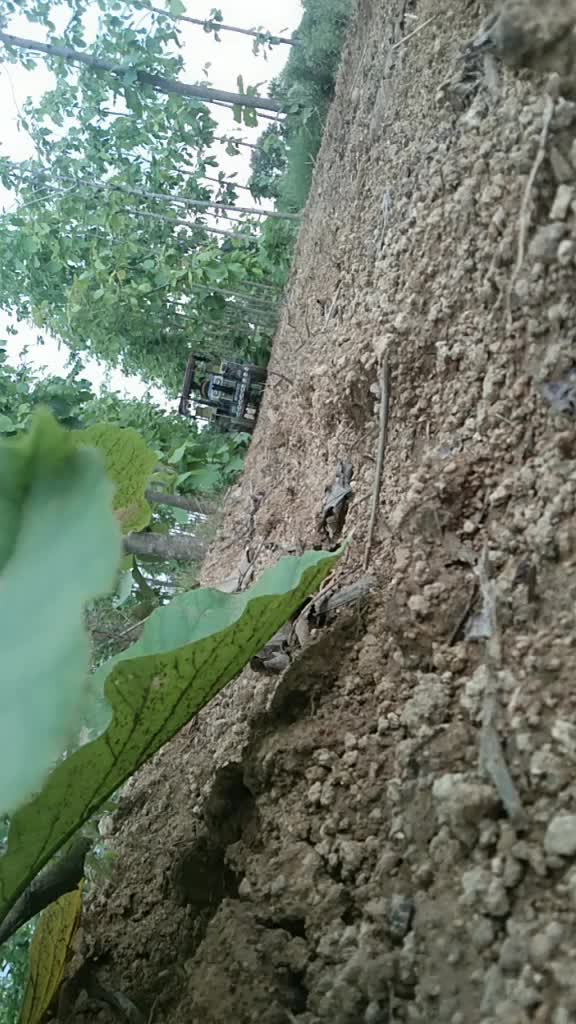 @bindas . dhaker