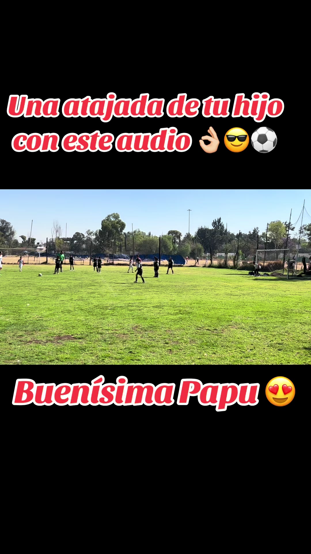 @RosiPerrotsi