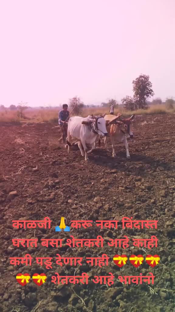 @Ankit Dhore