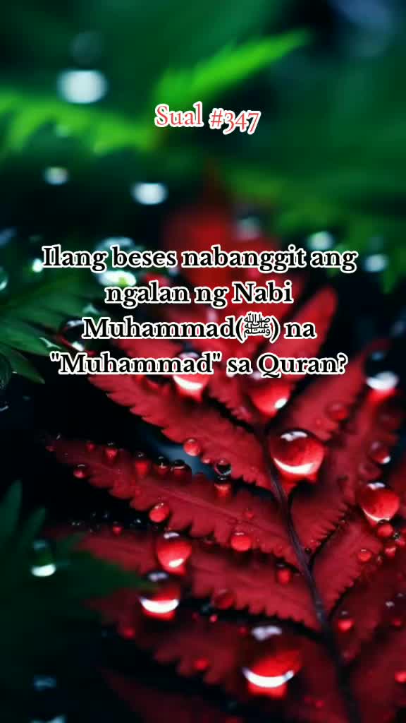 @Fatima al Muslimah