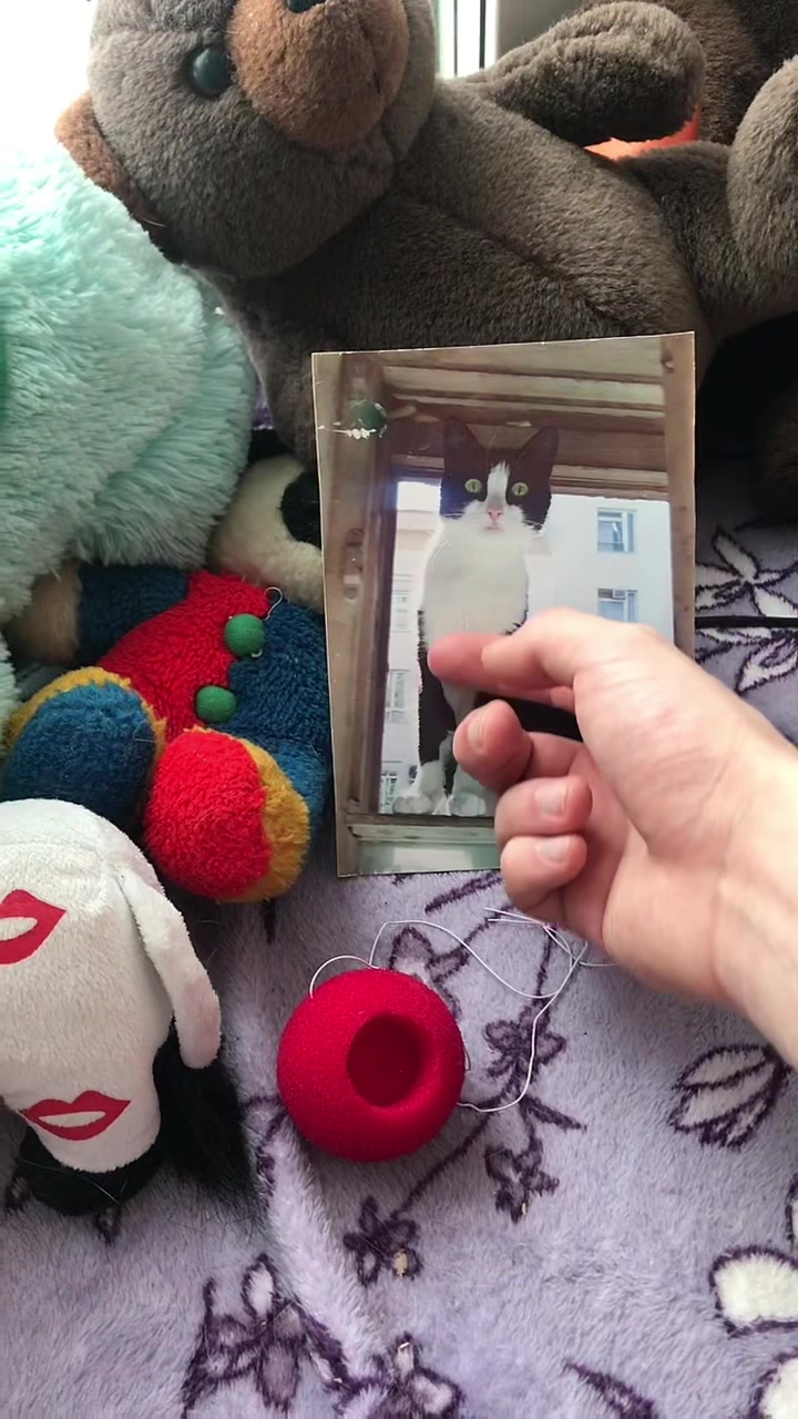 @Саня