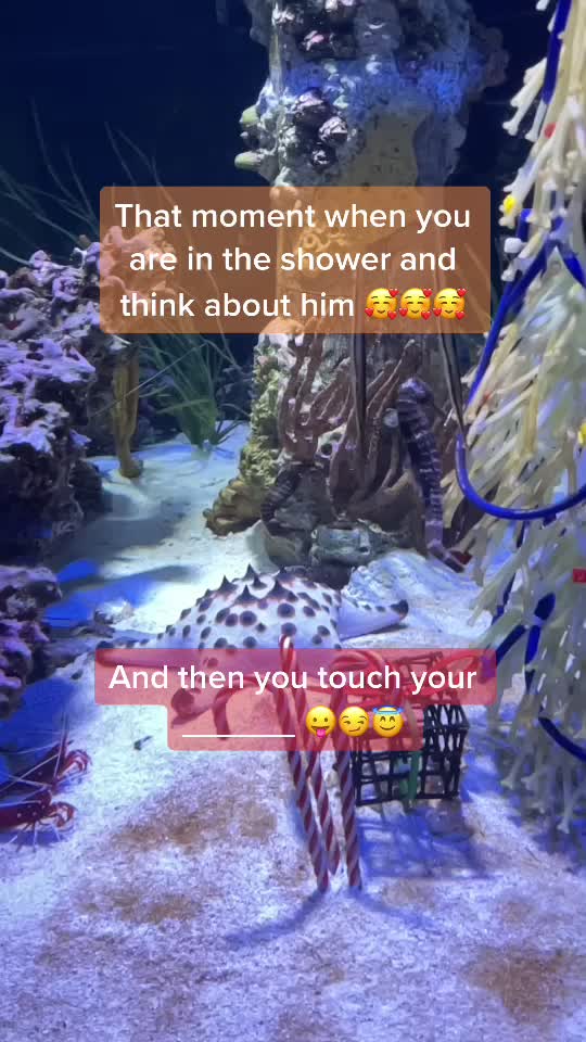 @Mia 🤍