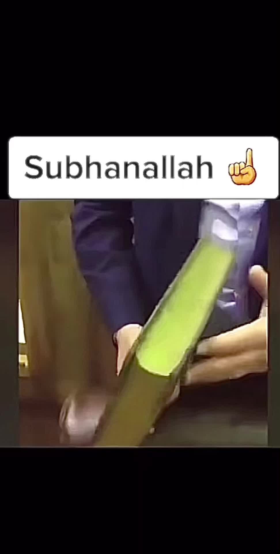 @shaziaslanz_