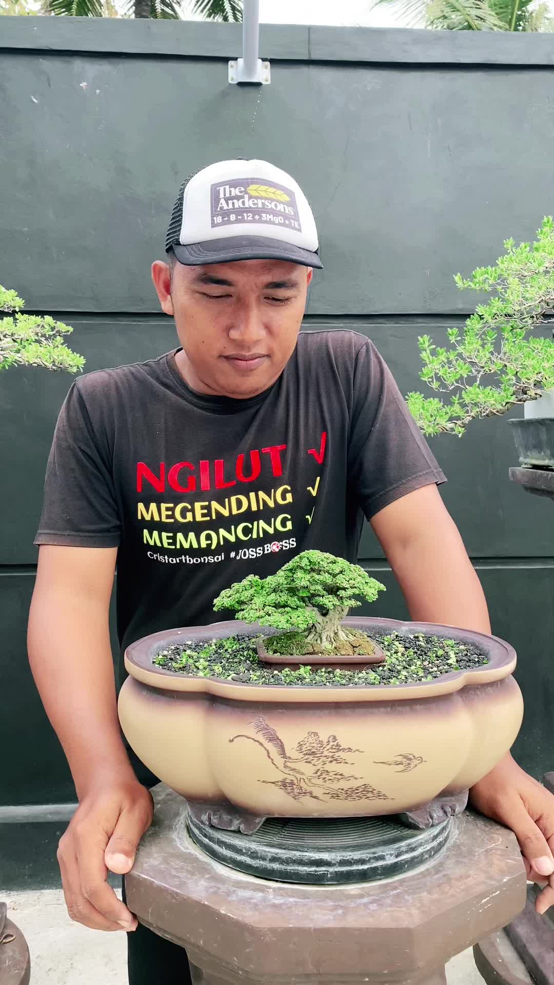 @“Cris Art Bonsai”