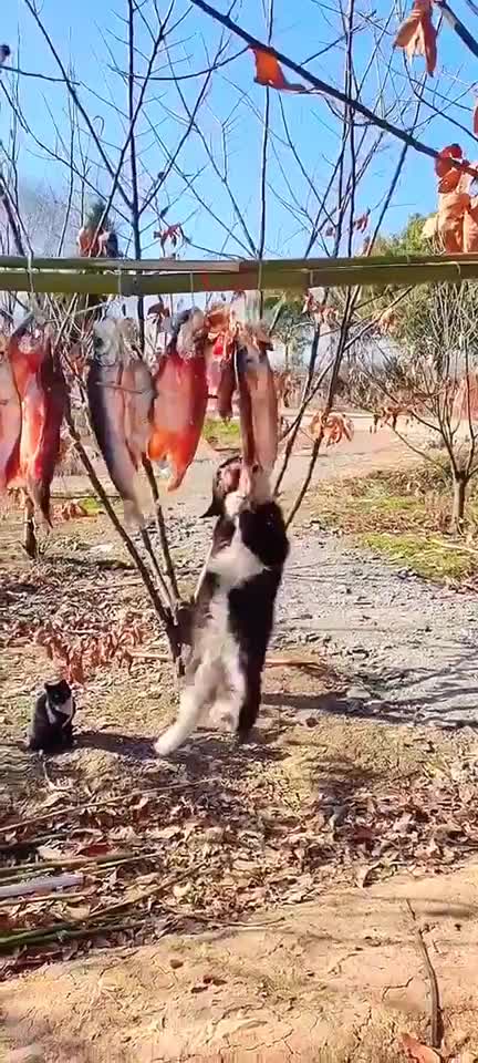 @user11009811448656