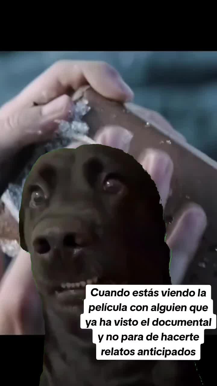 @Julissa Concepción López