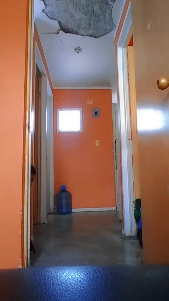 @C&eacute;sar_dlc🇲🇽