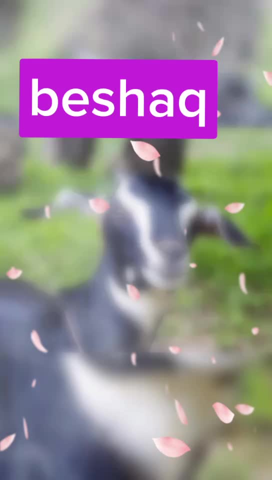 @tabrase.🕋🕋🤲🤲