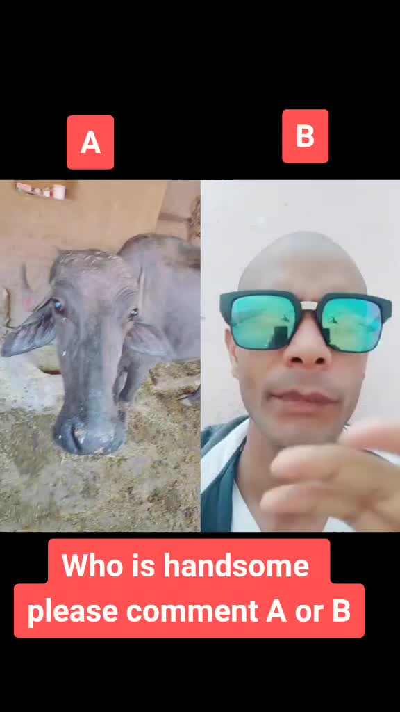 @mr_vikas_budana