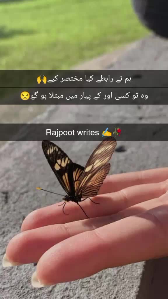 @Falak Rajpoot🖤