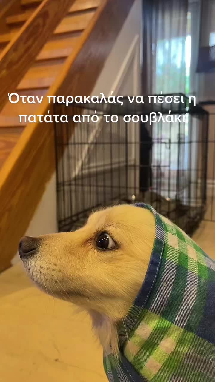 @Fotis Nikou