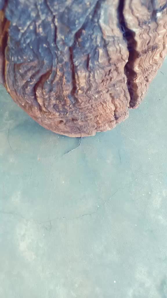 @Kannada Shivu Kumbar