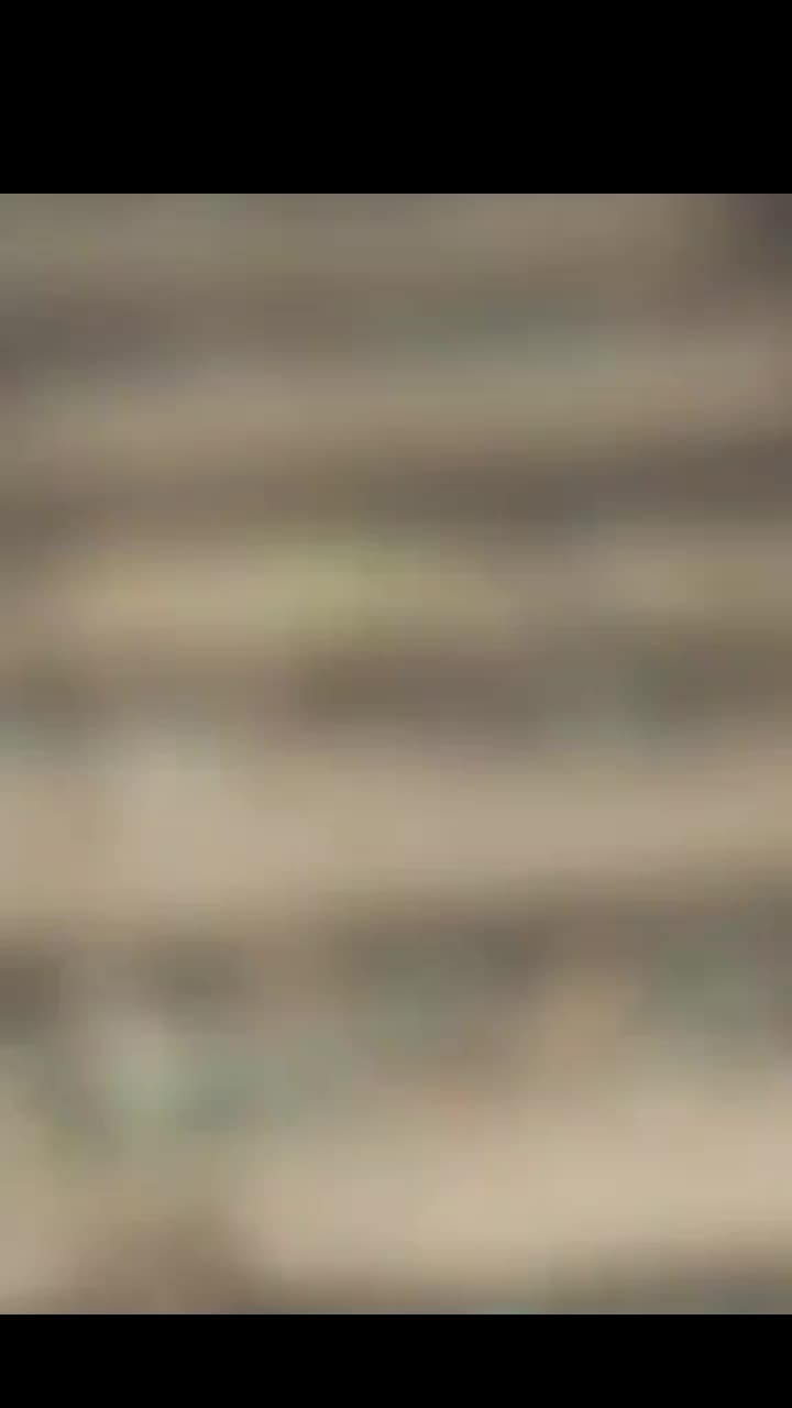 @Solitarix_∆∆