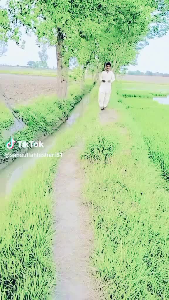 @mujhaid
