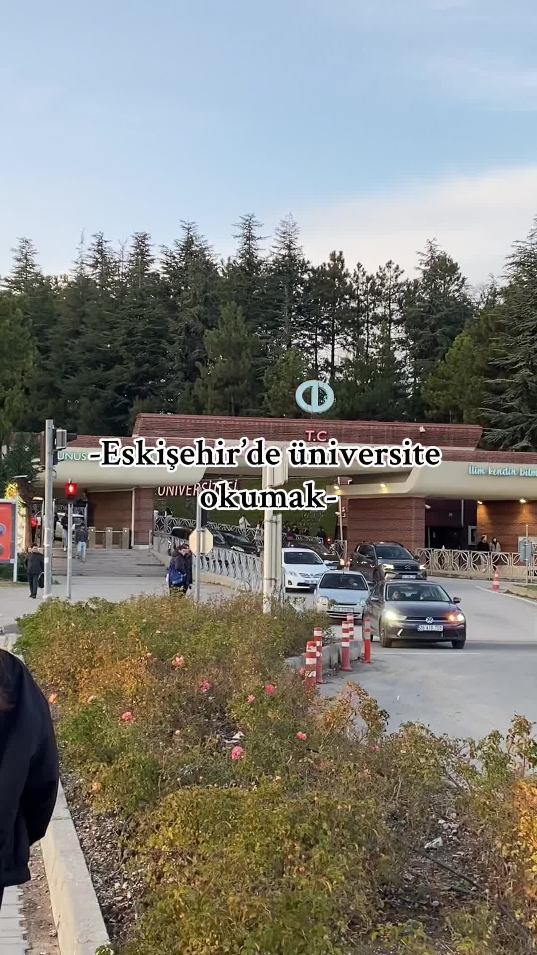 @Ceren