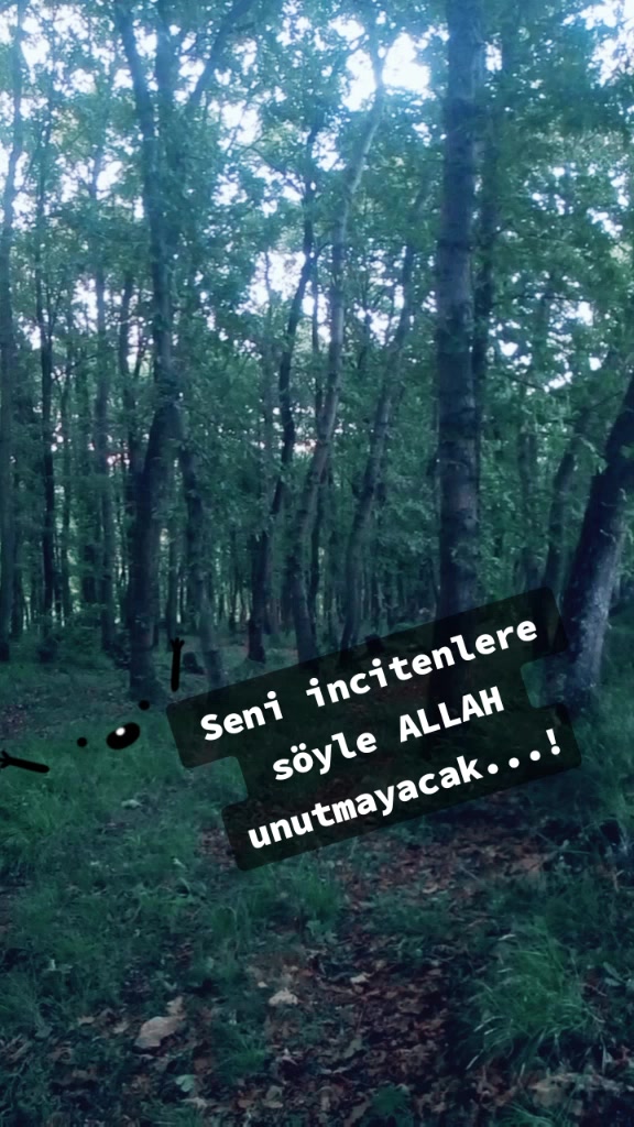 @sura.yilmaz