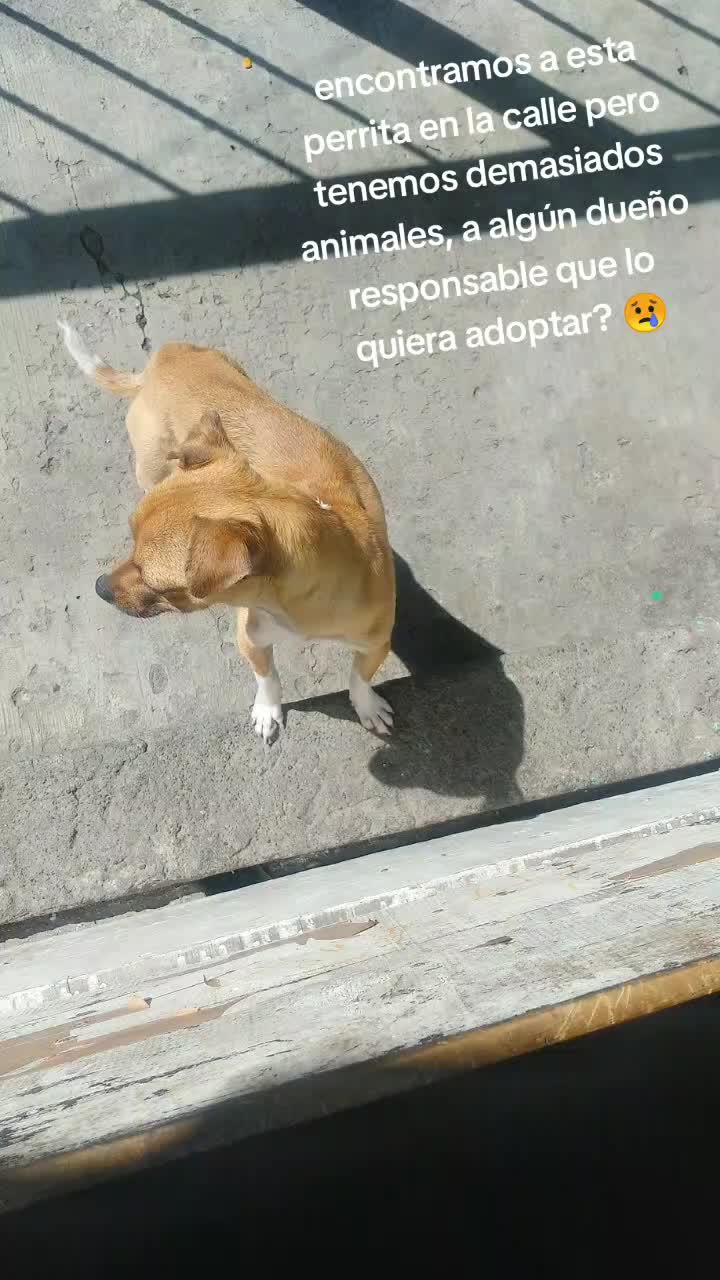 @alex_cr02