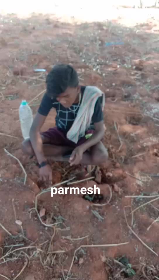 @Swathi Bangaram 11