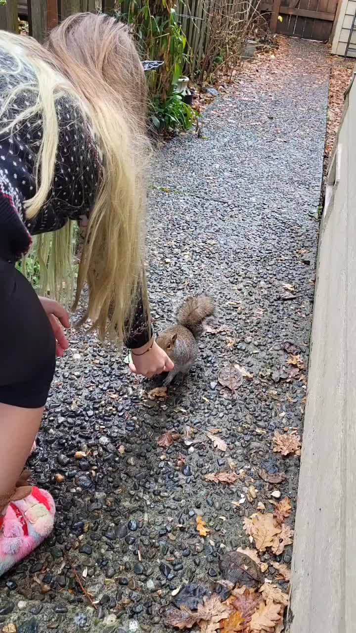 @ZippyTheRescueSquirrel