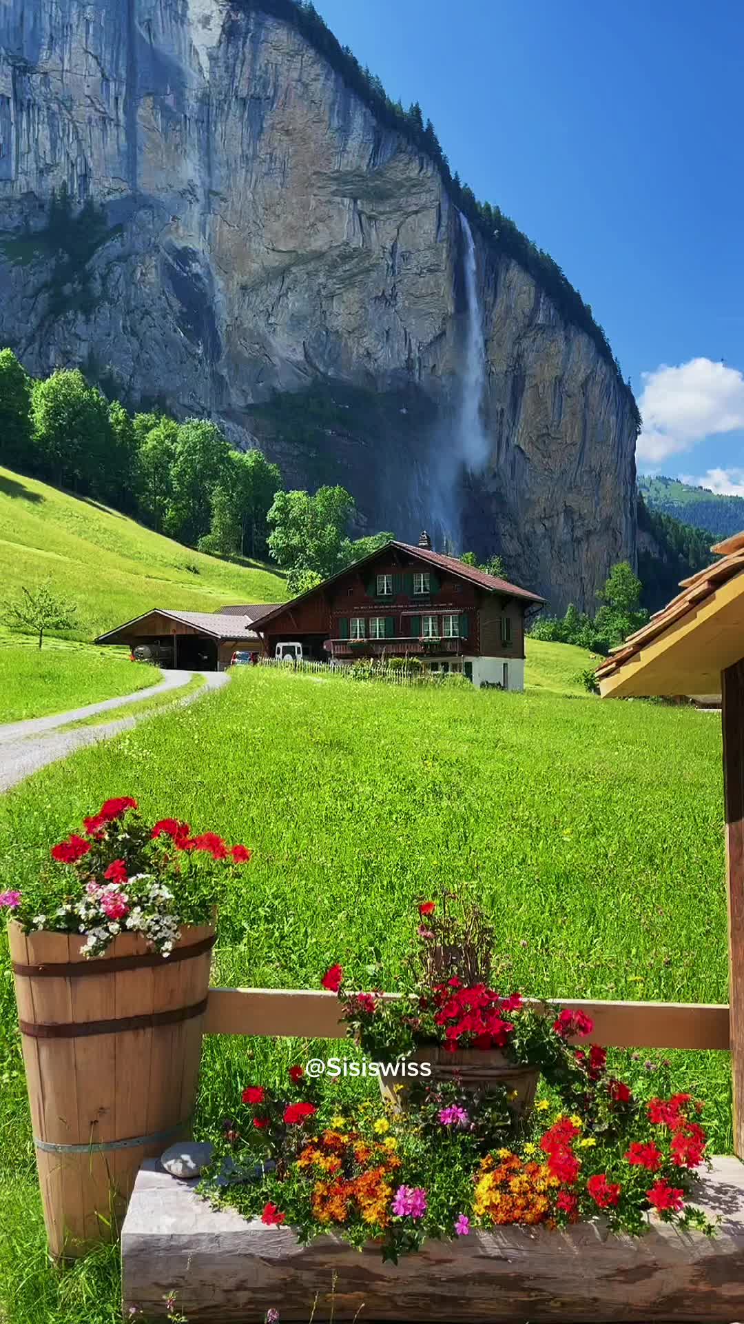 @Sisiswiss