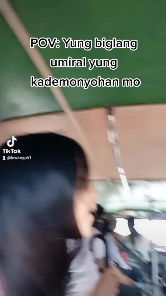 @Bib