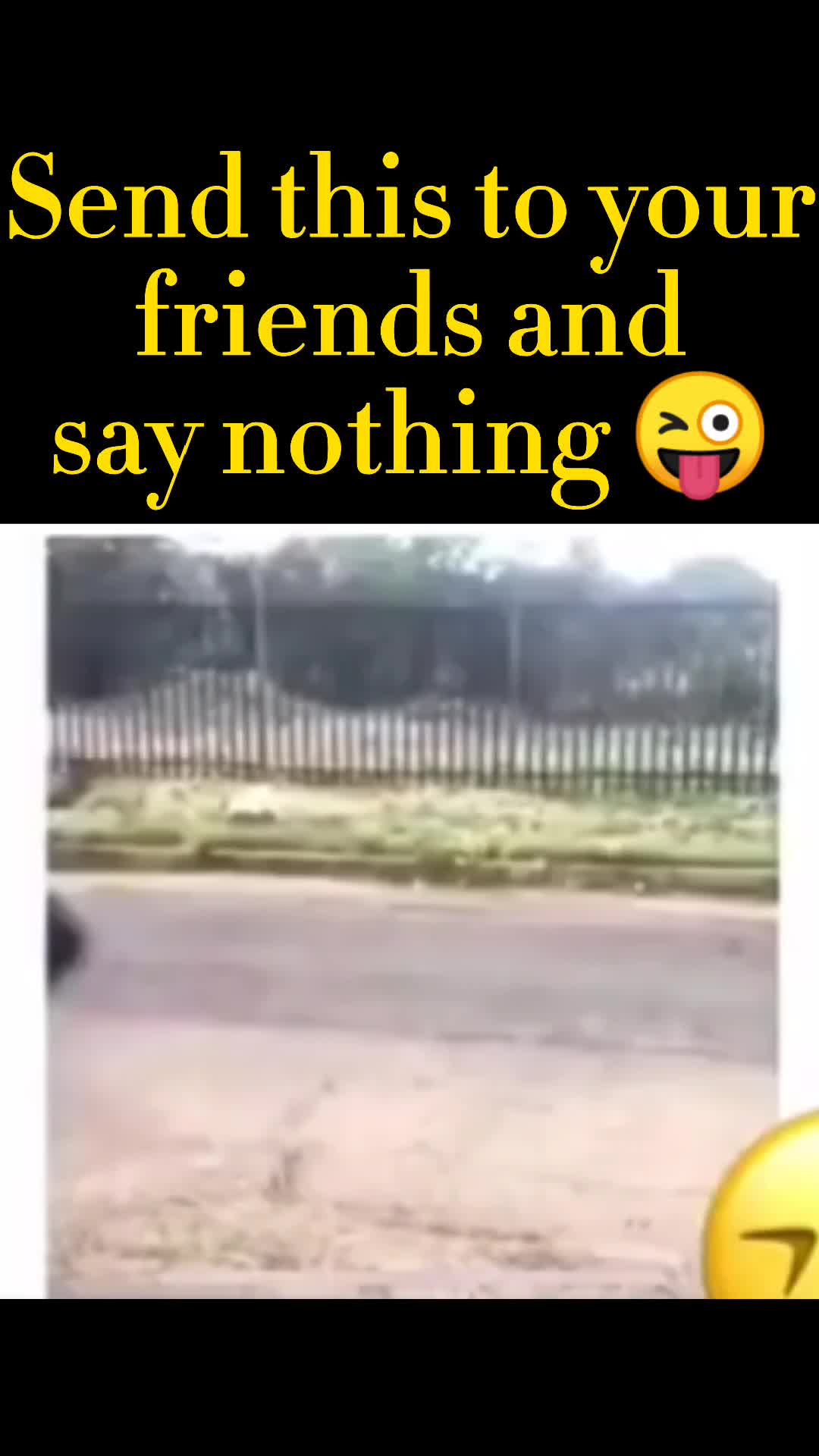 @mayashrestha