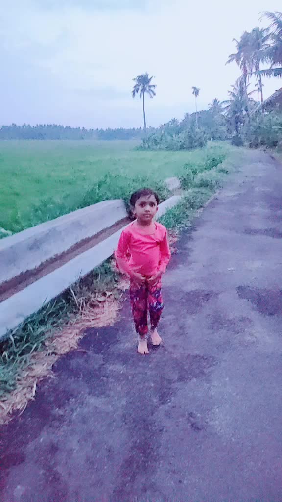 @Sreejith Perambra