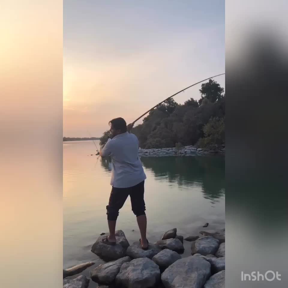 @iqnoxbattalion