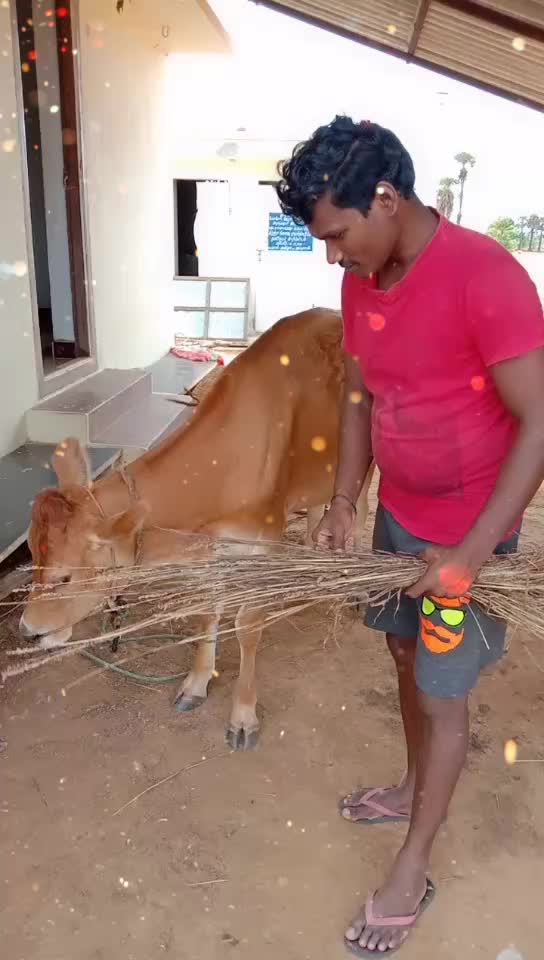 @Sathish Takky