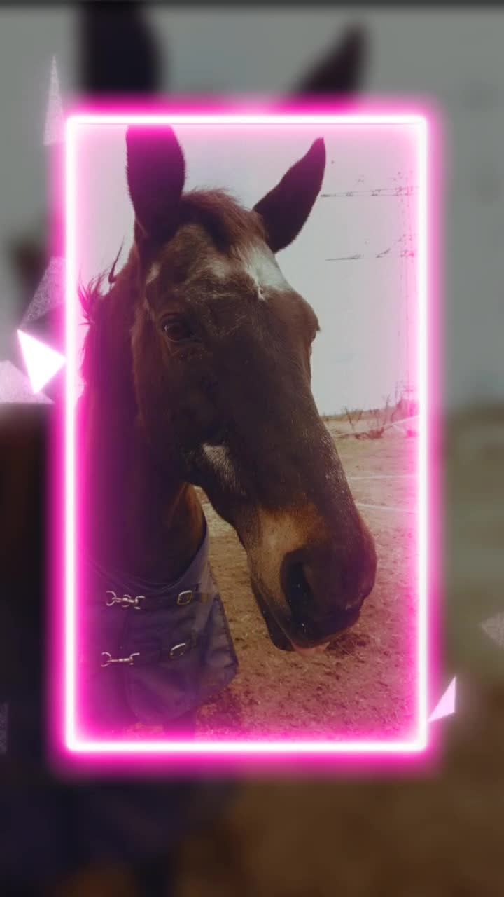 @♡♡deniiiiiise♡♡