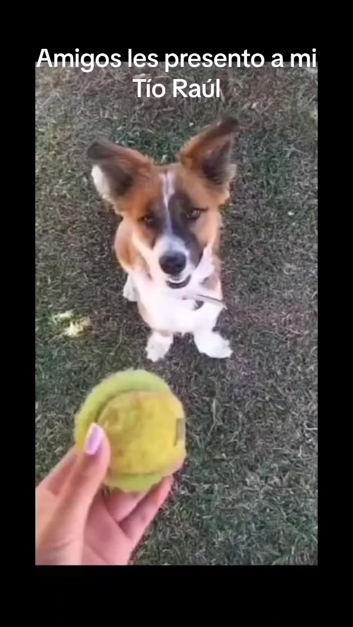 @SAM 🐾🦴