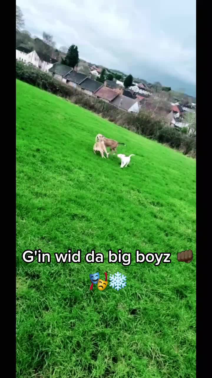 @Ghost_xlbully