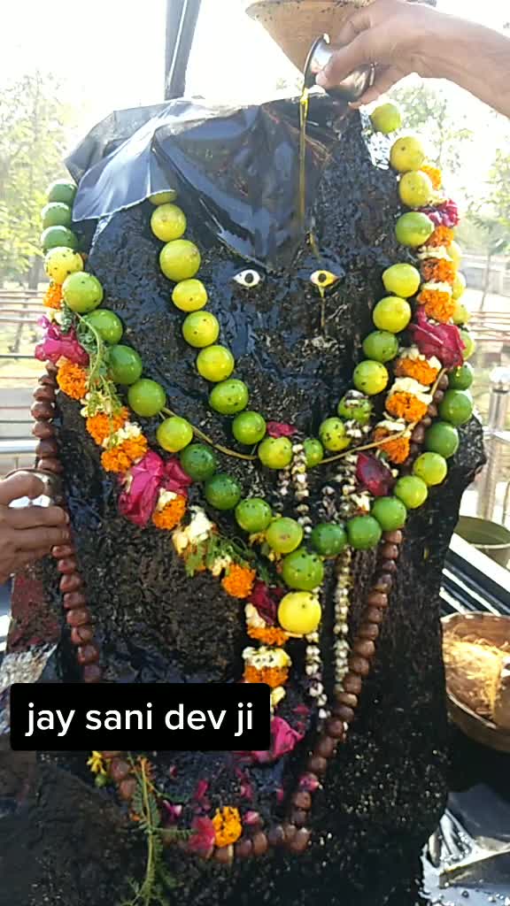 @13_vivek