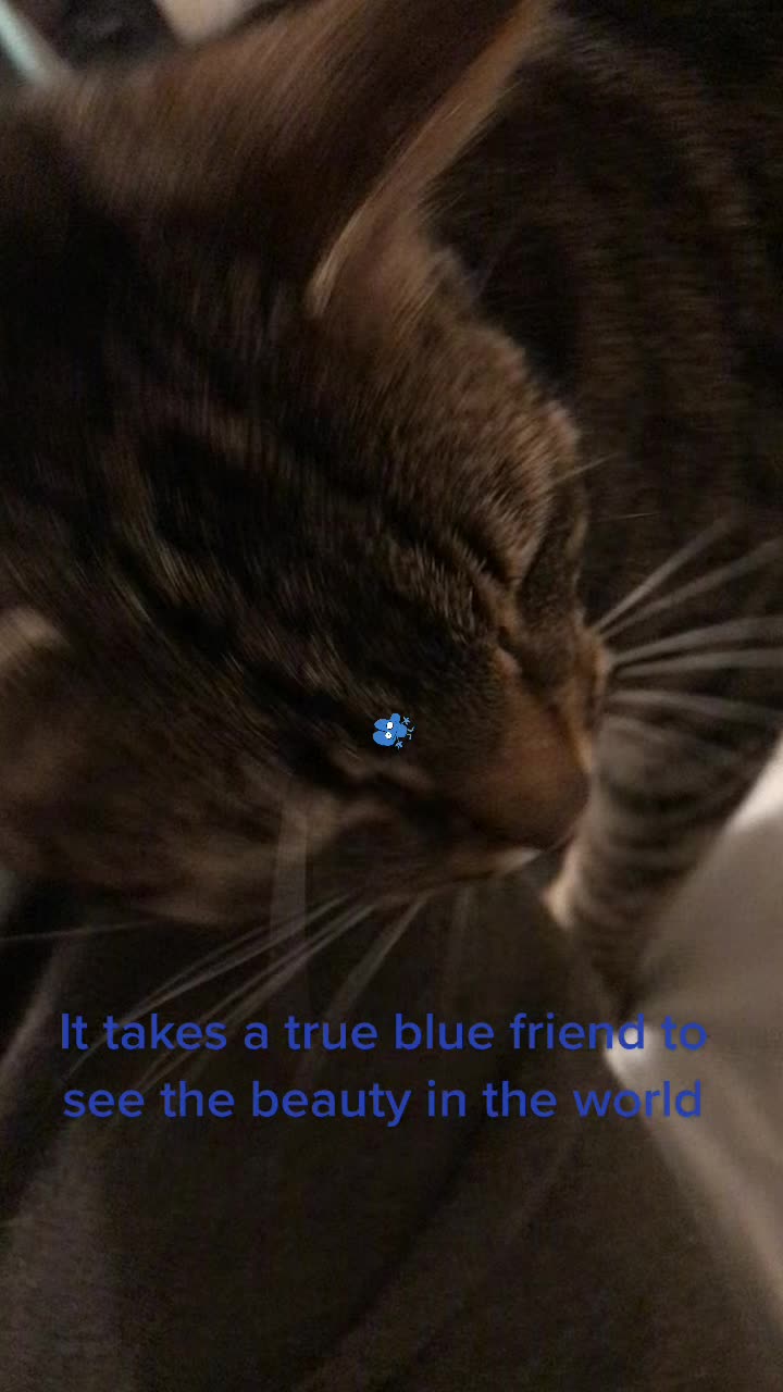 @JammyBarry