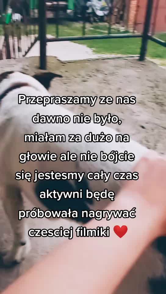 @❣️Reksio❣️