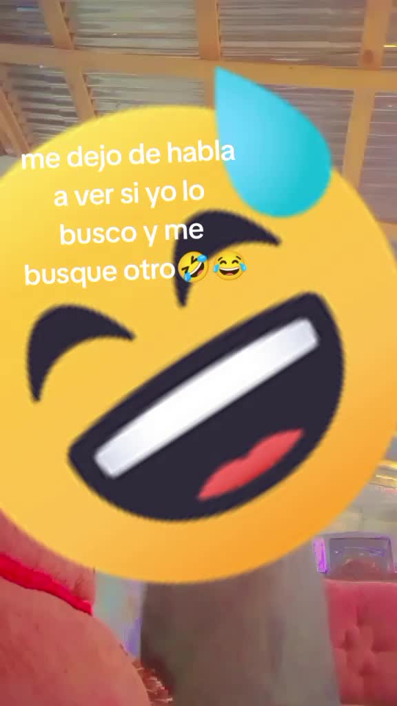 @ylaria