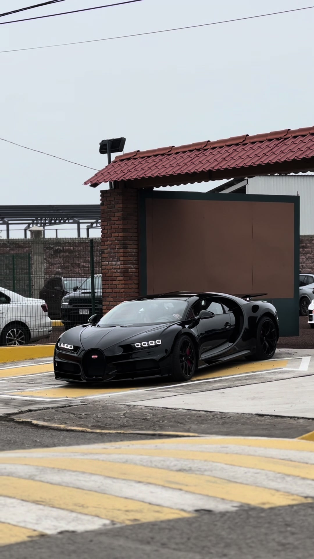 @Exotics.mx