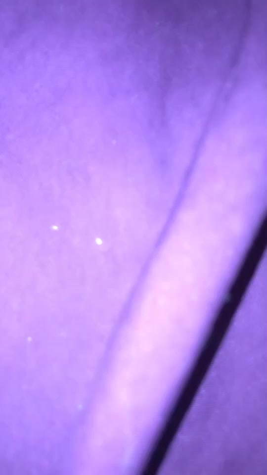 @LoneWolf16