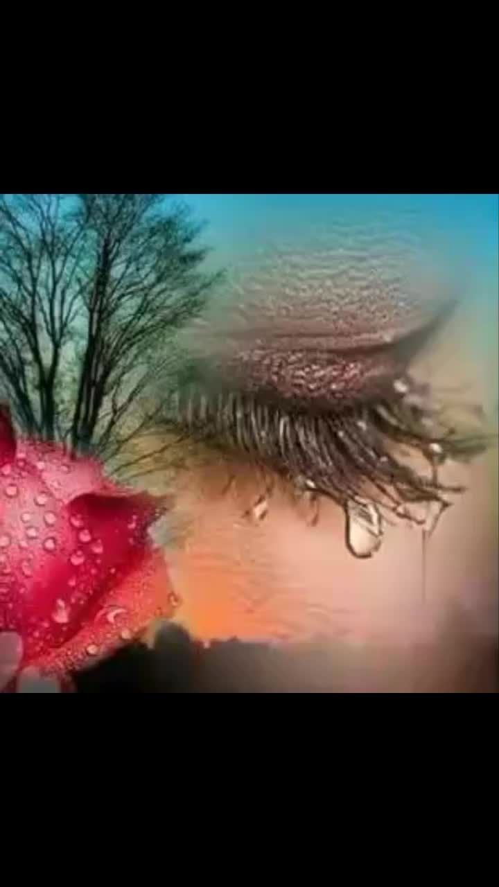 @@papatya 12